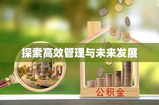大内探索高效管理与未来发展
