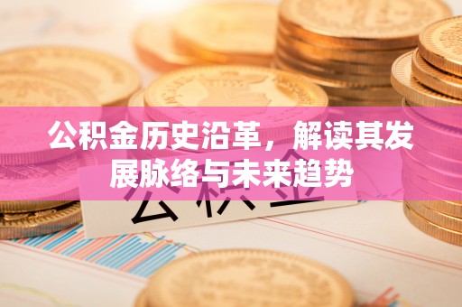 大内公积金历史沿革，解读其发展脉络与未来趋势