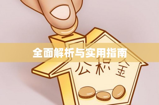 大内全面解析与实用指南