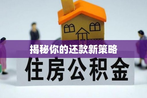 大内揭秘你的还款新策略