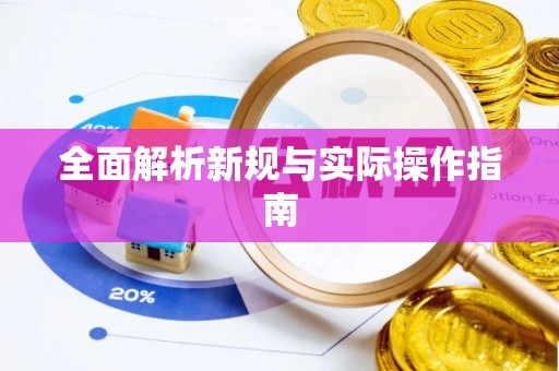 大内全面解析新规与实际操作指南
