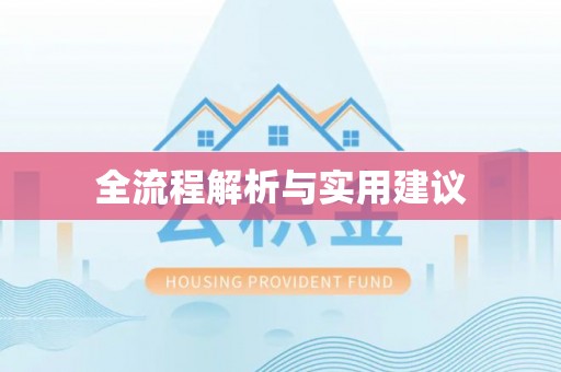 大内全流程解析与实用建议