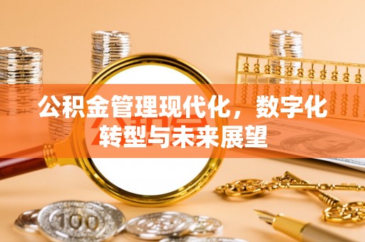 大内公积金管理现代化，数字化转型与未来展望