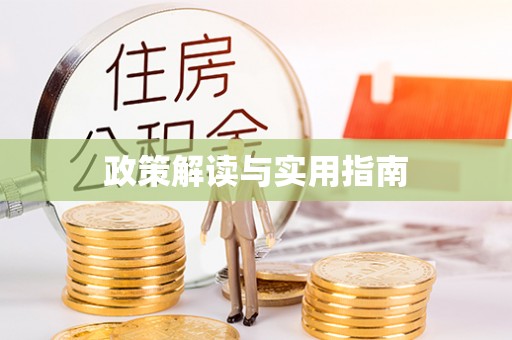 大内政策解读与实用指南