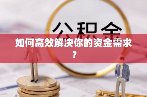 大内如何高效解决你的资金需求？
