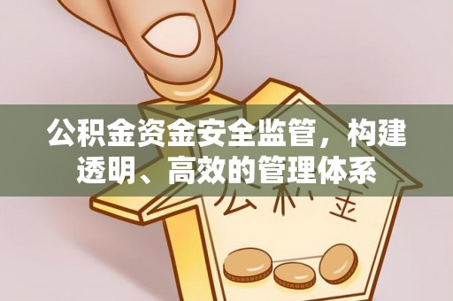 大内公积金资金安全监管，构建透明、高效的管理体系