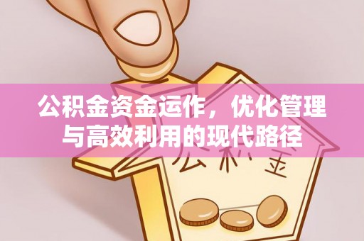 大内公积金资金运作，优化管理与高效利用的现代路径