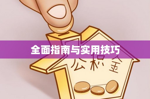 大内全面指南与实用技巧