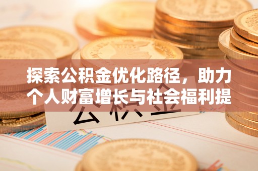 大内探索公积金优化路径，助力个人财富增长与社会福利提升