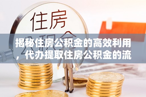 大内揭秘住房公积金的高效利用，代办提取住房公积金的流程与技巧