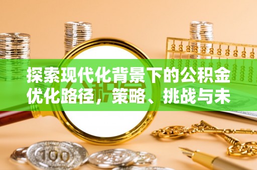 大内探索现代化背景下的公积金优化路径，策略、挑战与未来展望