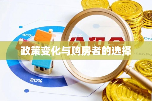 大内政策变化与购房者的选择