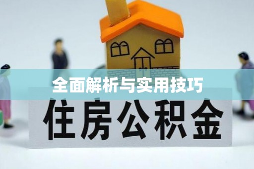 大内全面解析与实用技巧