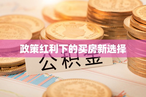 大内政策红利下的买房新选择