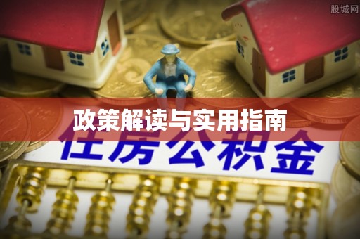 大内政策解读与实用指南