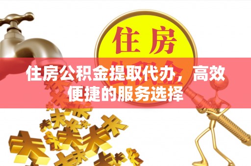 大内住房公积金提取代办，高效便捷的服务选择