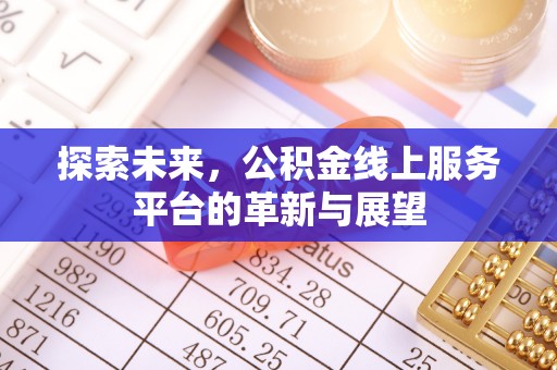 大内探索未来，公积金线上服务平台的革新与展望