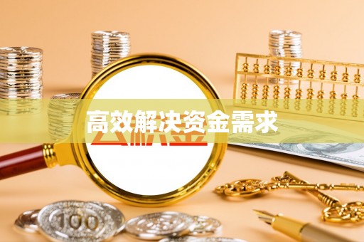 大内高效解决资金需求