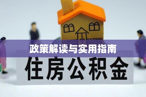 大内政策解读与实用指南