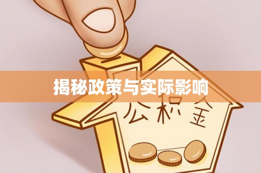 大内揭秘政策与实际影响