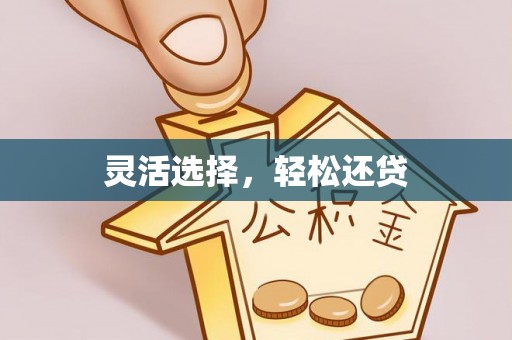 大内灵活选择，轻松还贷