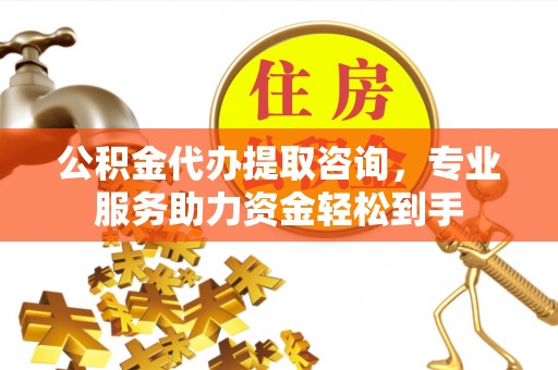 大内公积金代办提取咨询，专业服务助力资金轻松到手