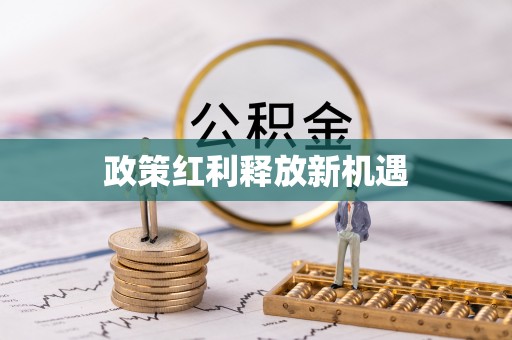 大内政策红利释放新机遇