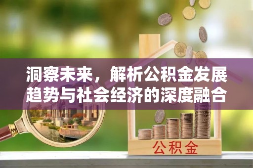 大内洞察未来，解析公积金发展趋势与社会经济的深度融合