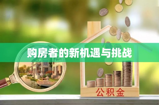 大内购房者的新机遇与挑战