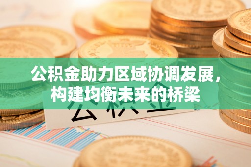 大内公积金助力区域协调发展，构建均衡未来的桥梁