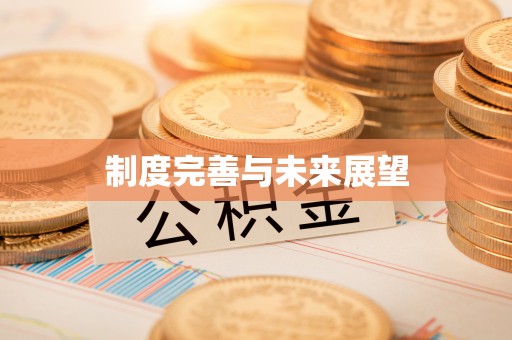大内制度完善与未来展望