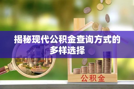 大内揭秘现代公积金查询方式的多样选择