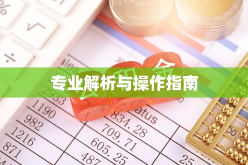 大内专业解析与操作指南