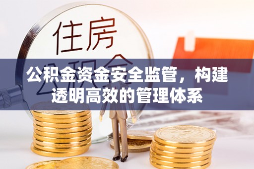 大内公积金资金安全监管，构建透明高效的管理体系