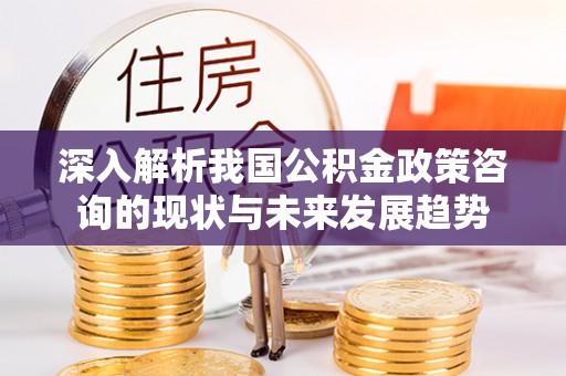 大内深入解析我国公积金政策咨询的现状与未来发展趋势