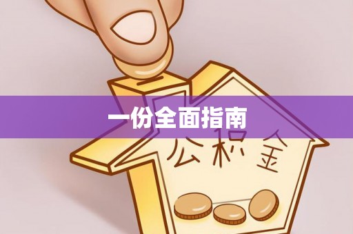 大内一份全面指南
