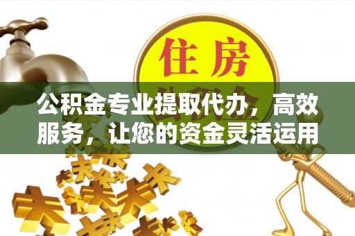 大内公积金专业提取代办，高效服务，让您的资金灵活运用