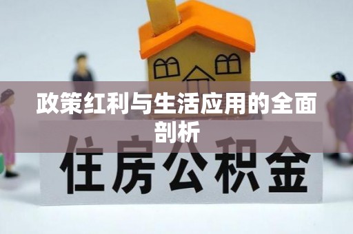 大内政策红利与生活应用的全面剖析