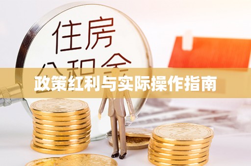 大内政策红利与实际操作指南