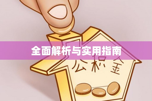 大内全面解析与实用指南