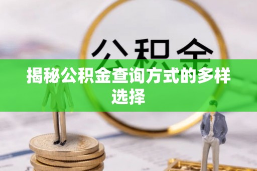 大内揭秘公积金查询方式的多样选择