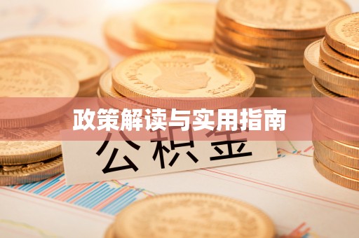大内政策解读与实用指南