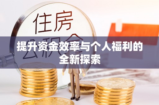 大内提升资金效率与个人福利的全新探索