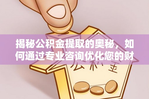 大内揭秘公积金提取的奥秘，如何通过专业咨询优化您的财务规划