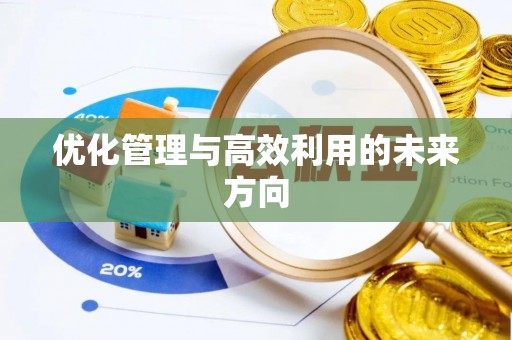 大内优化管理与高效利用的未来方向