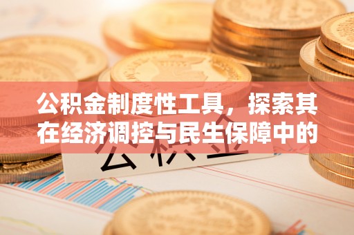 大内公积金制度性工具，探索其在经济调控与民生保障中的重要作用