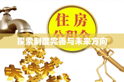 大内探索制度完善与未来方向