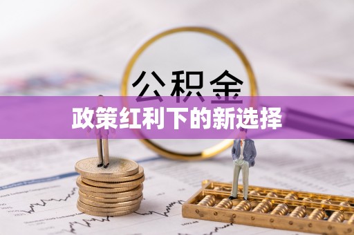大内政策红利下的新选择