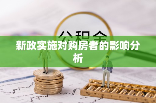大内新政实施对购房者的影响分析