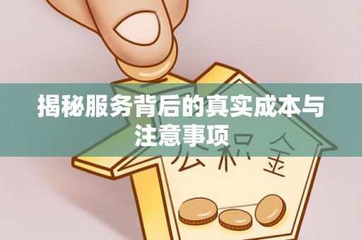 大内揭秘服务背后的真实成本与注意事项